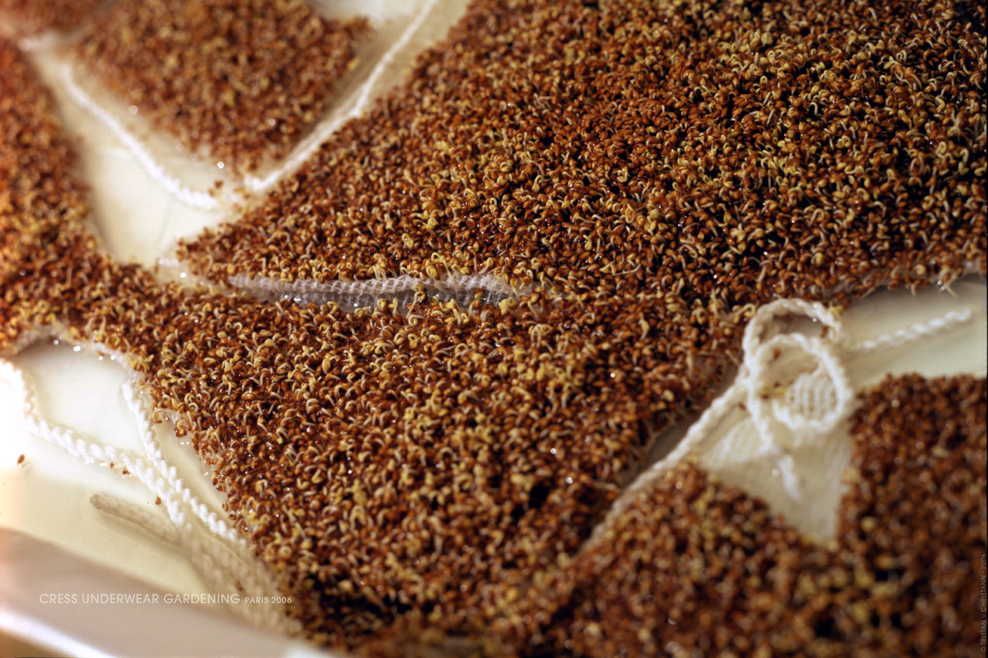 Cress Underwear Gardening 2